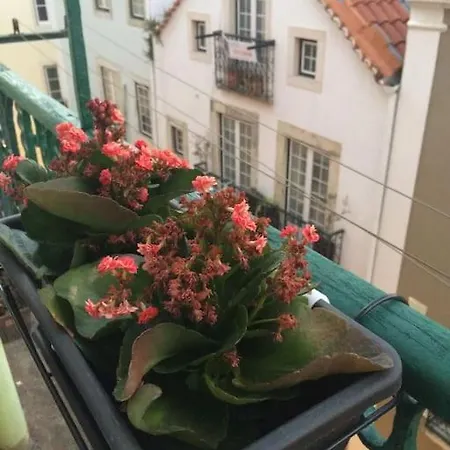 Charming Xix Century Flat-lisbon Historical Center Lisboa